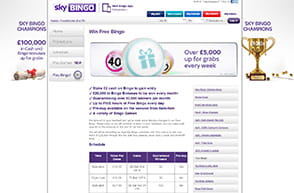 Claim Your Bonus at Sky Bingo